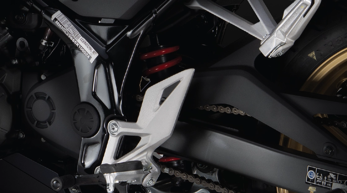 Pro link rear suspention